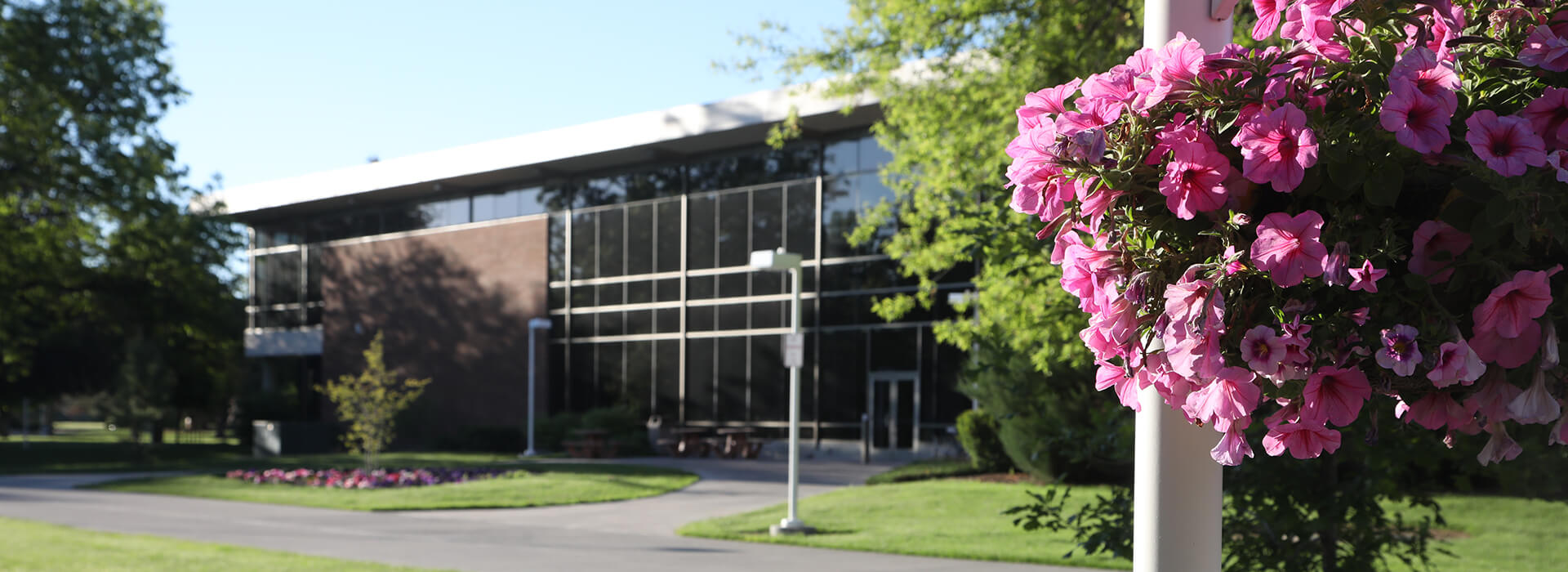 shot of the back of the student union building with a hanging basket of pink flowers in the foreground